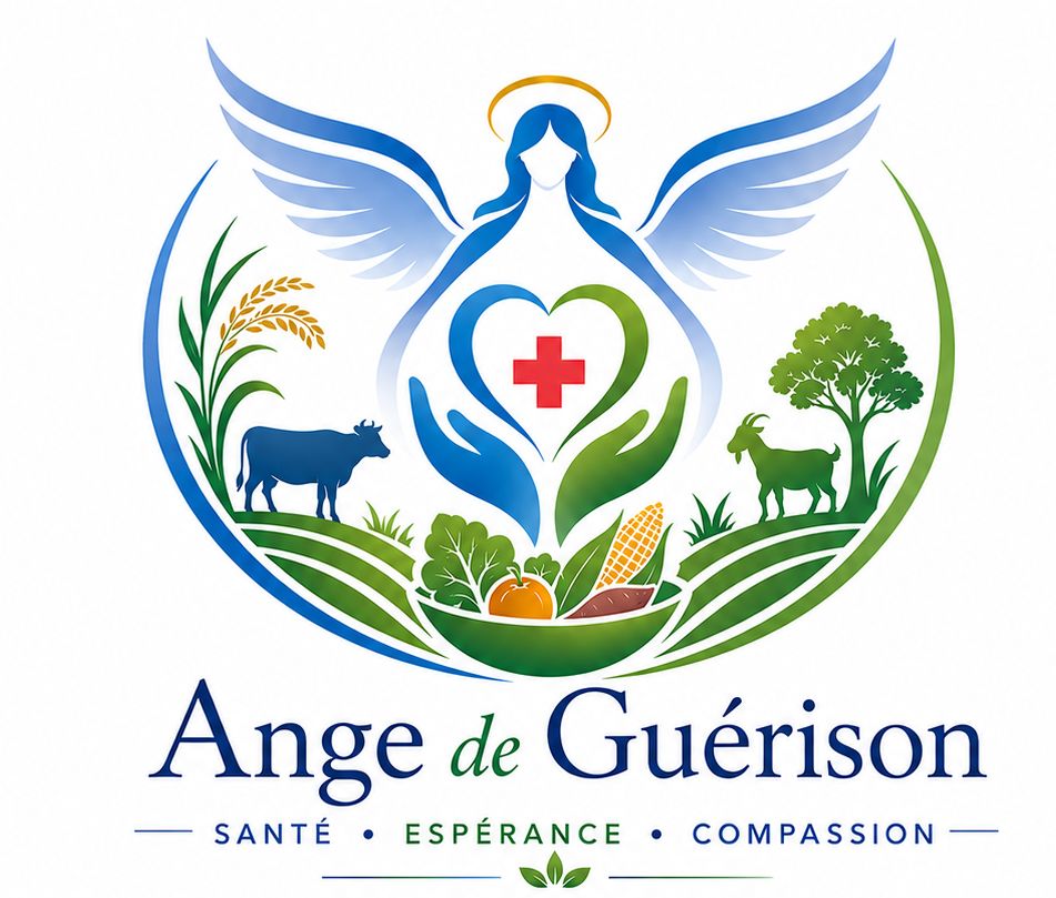 ANGE DE GUÉRISON ONGD/ASBL
